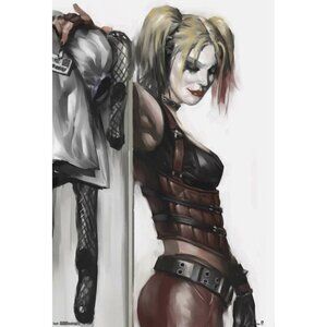DC Comics - Harley Quinn Poster